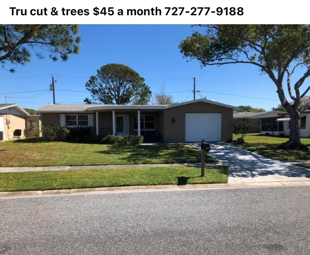 Top-rated yard maintenance experts serving New Port Richey, FL - Tru Cutting Lawn Care and Trees