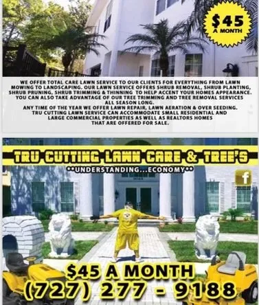 Top-rated landscape design in New Port Richey, FL by Tru Cutting Lawn Care and Trees