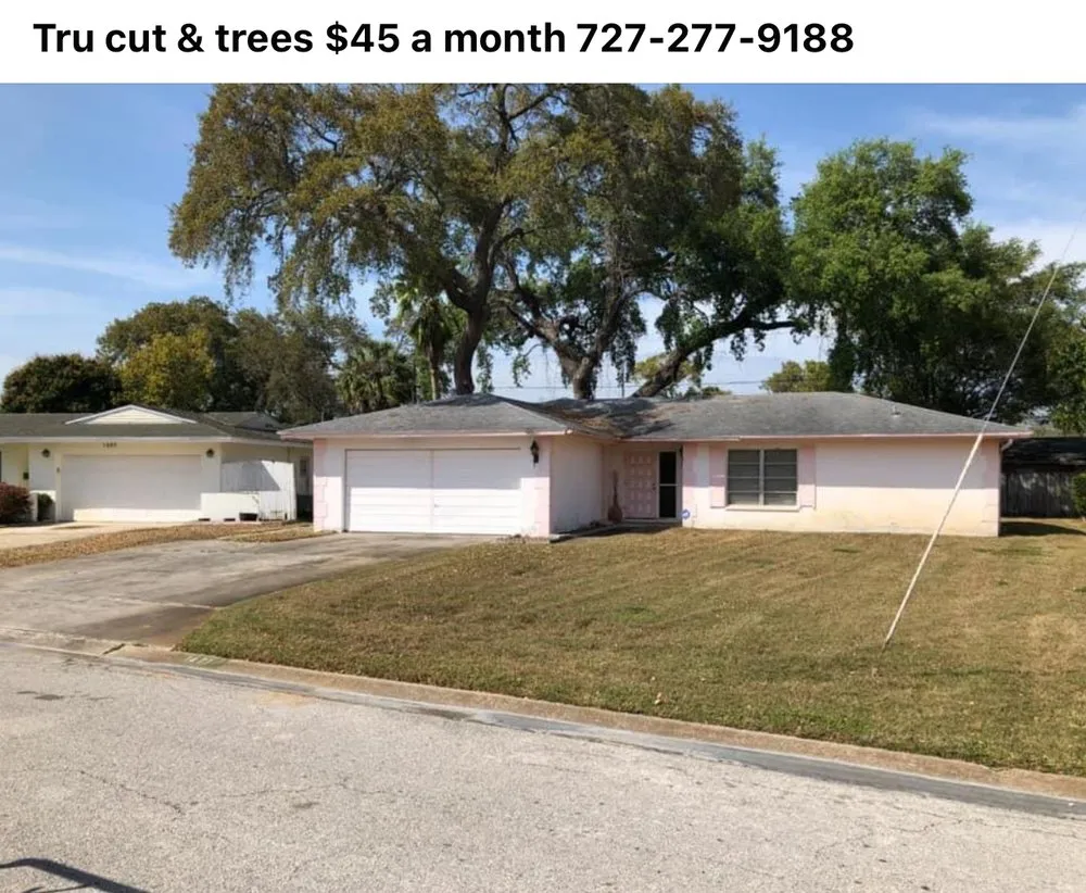 Top-rated yard maintenance in New Port Richey, FL by Tru Cutting Lawn Care and Trees