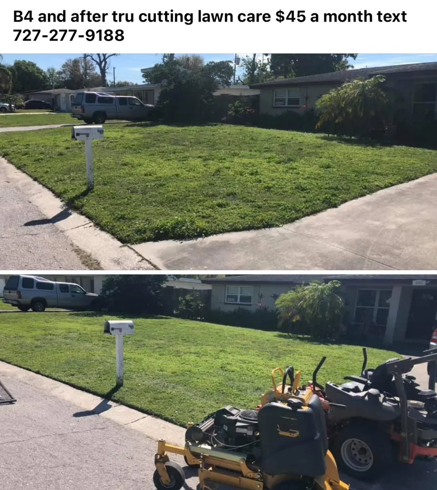 Top-rated outdoor landscaping for homes across New Port Richey, FL - Tru Cutting Lawn Care and Trees