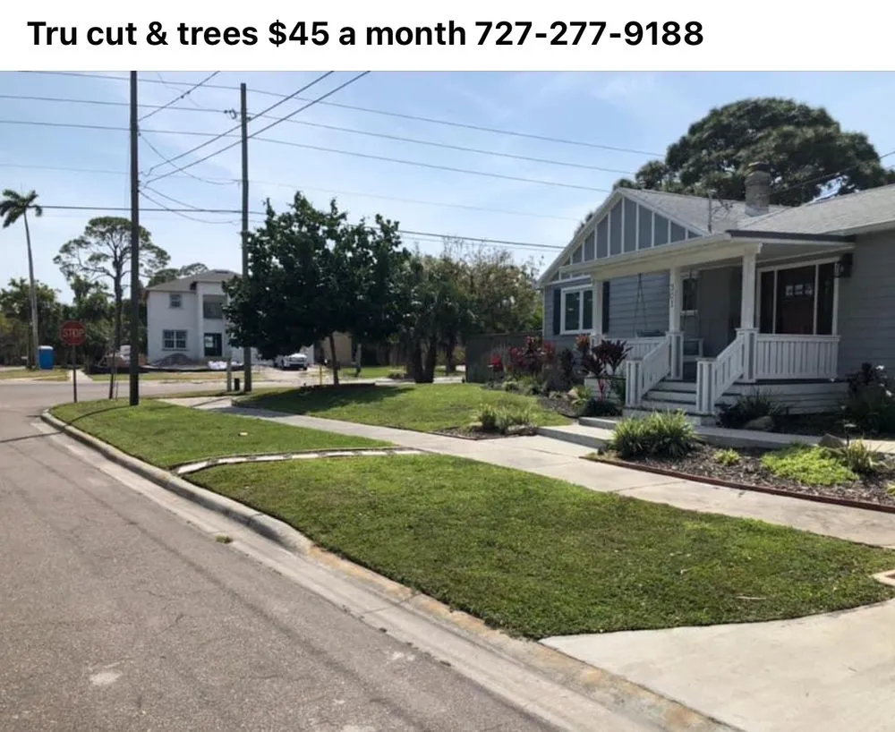 Affordable landscaping services in New Port Richey, FL - Tru Cutting Lawn Care and Trees