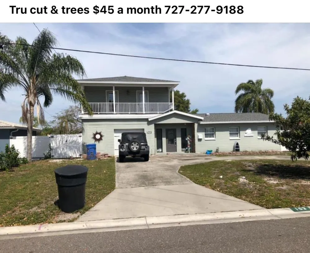 Reliable lawn mowing service experts serving New Port Richey, FL - Tru Cutting Lawn Care and Trees