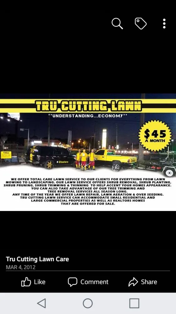 Trusted yard maintenance in New Port Richey, FL - Tru Cutting Lawn Care and Trees