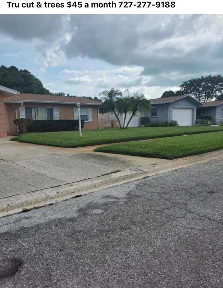 Custom lawn care service experts serving New Port Richey, FL - Tru Cutting Lawn Care and Trees