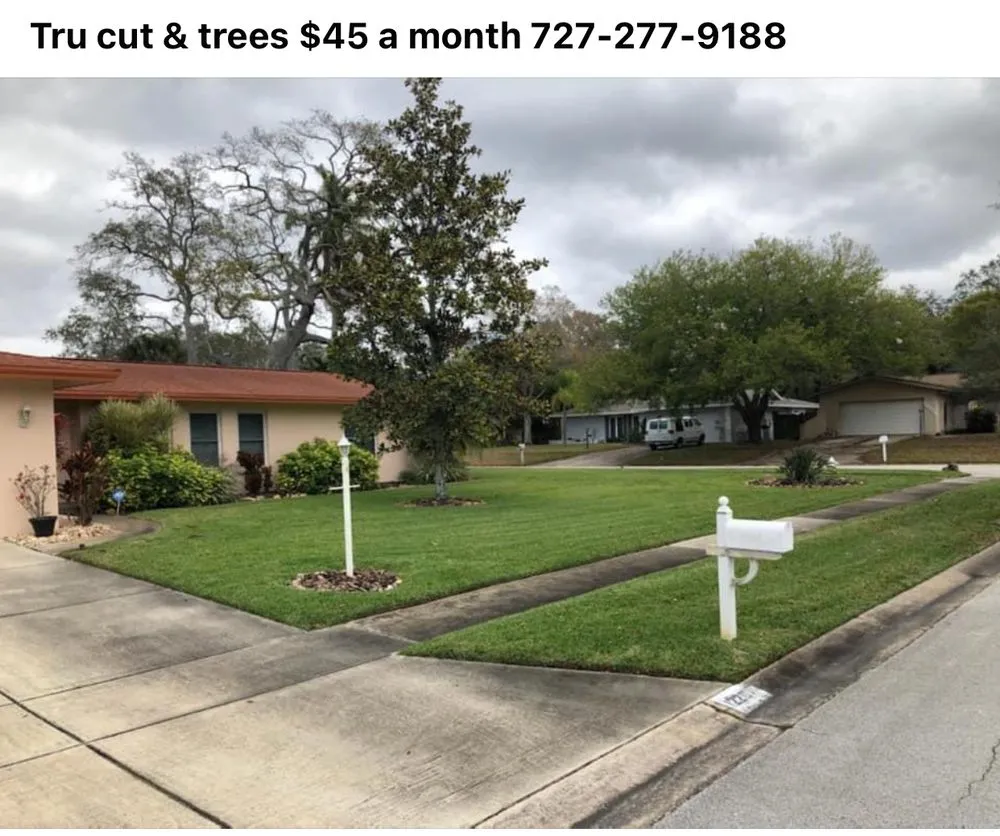 Local yard cleanup service in New Port Richey, FL - Tru Cutting Lawn Care and Trees
