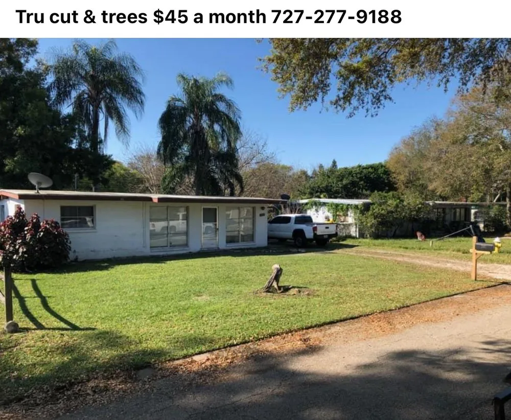 Affordable landscaping services for beautiful yards in New Port Richey, FL by Tru Cutting Lawn Care and Trees