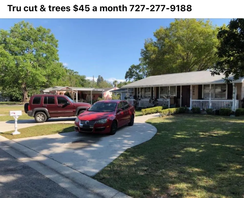 Affordable residential landscaping for residential properties across New Port Richey, FL - Tru Cutting Lawn Care and Trees
