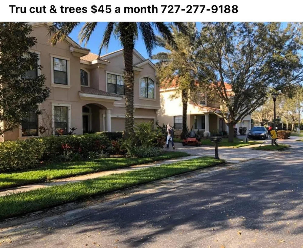 Expert yard cleanup service experts serving New Port Richey, FL - Tru Cutting Lawn Care and Trees