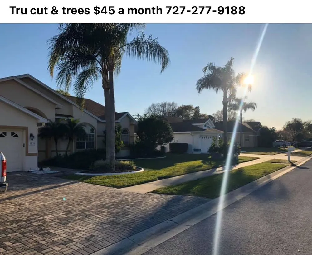 Expert residential landscaping in New Port Richey, FL by Tru Cutting Lawn Care and Trees
