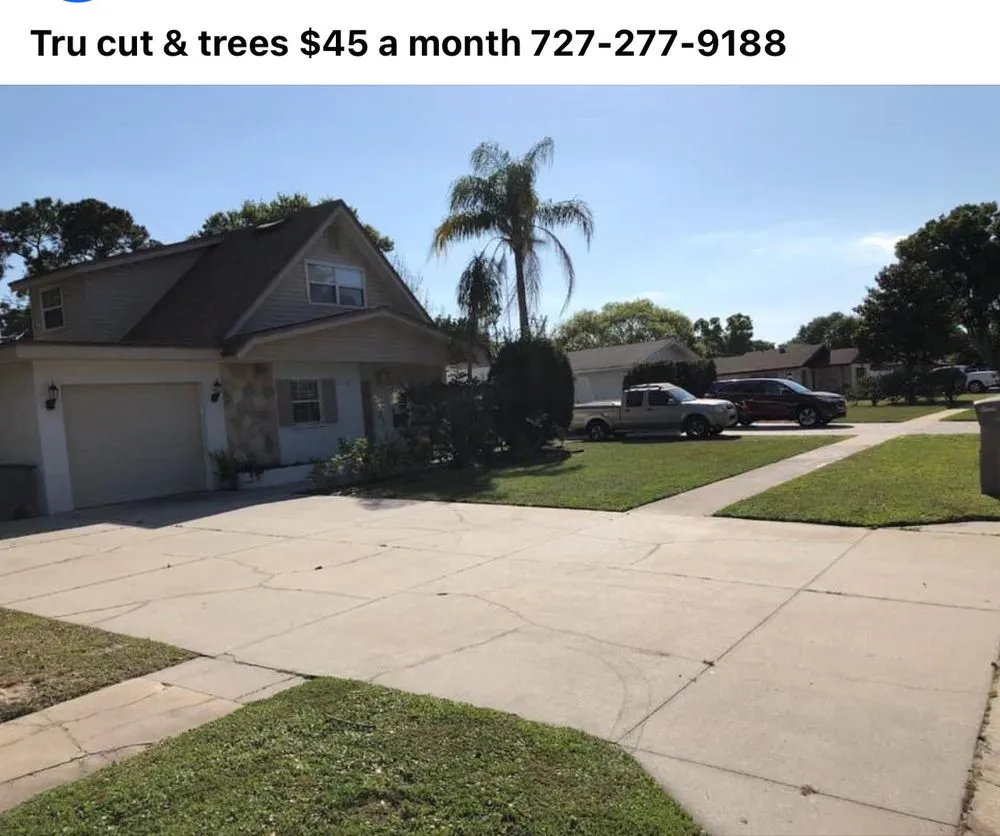 Affordable yard maintenance in New Port Richey, FL - Tru Cutting Lawn Care and Trees