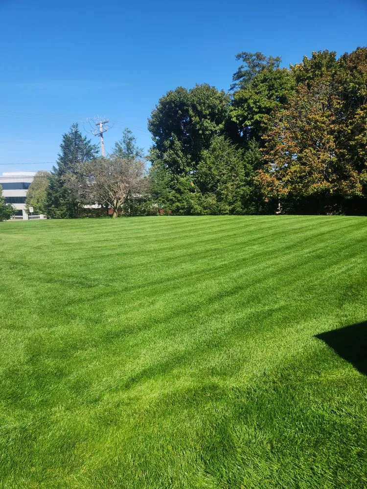 Affordable landscape design in Newville, PA - Tru Edge Landscape