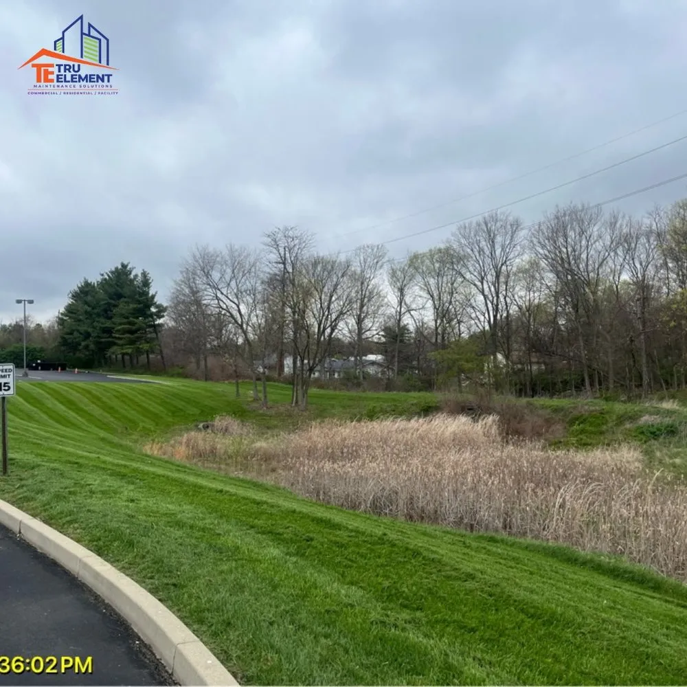 Top-rated residential landscaping in Florence, KY - Tru Element