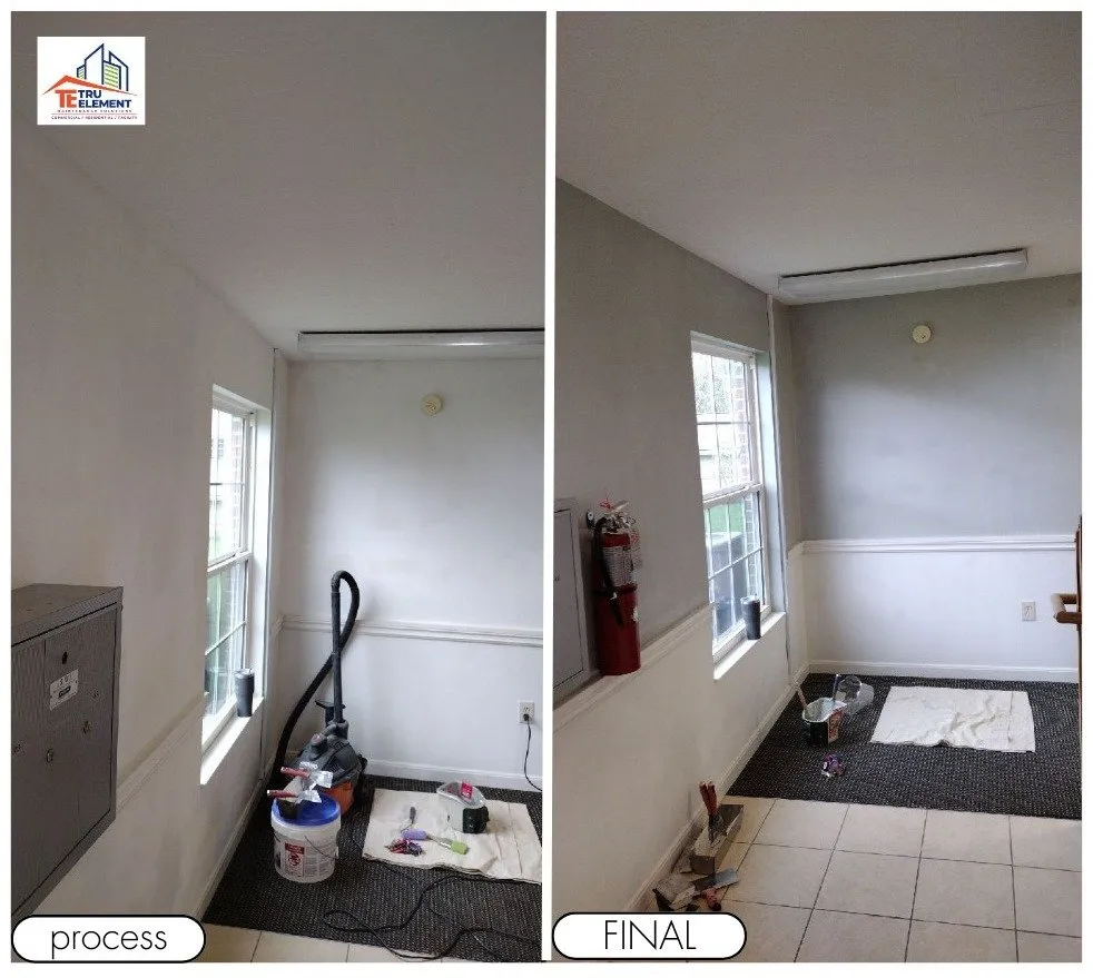 Trusted yard cleanup service for homes in Florence, KY by Tru Element