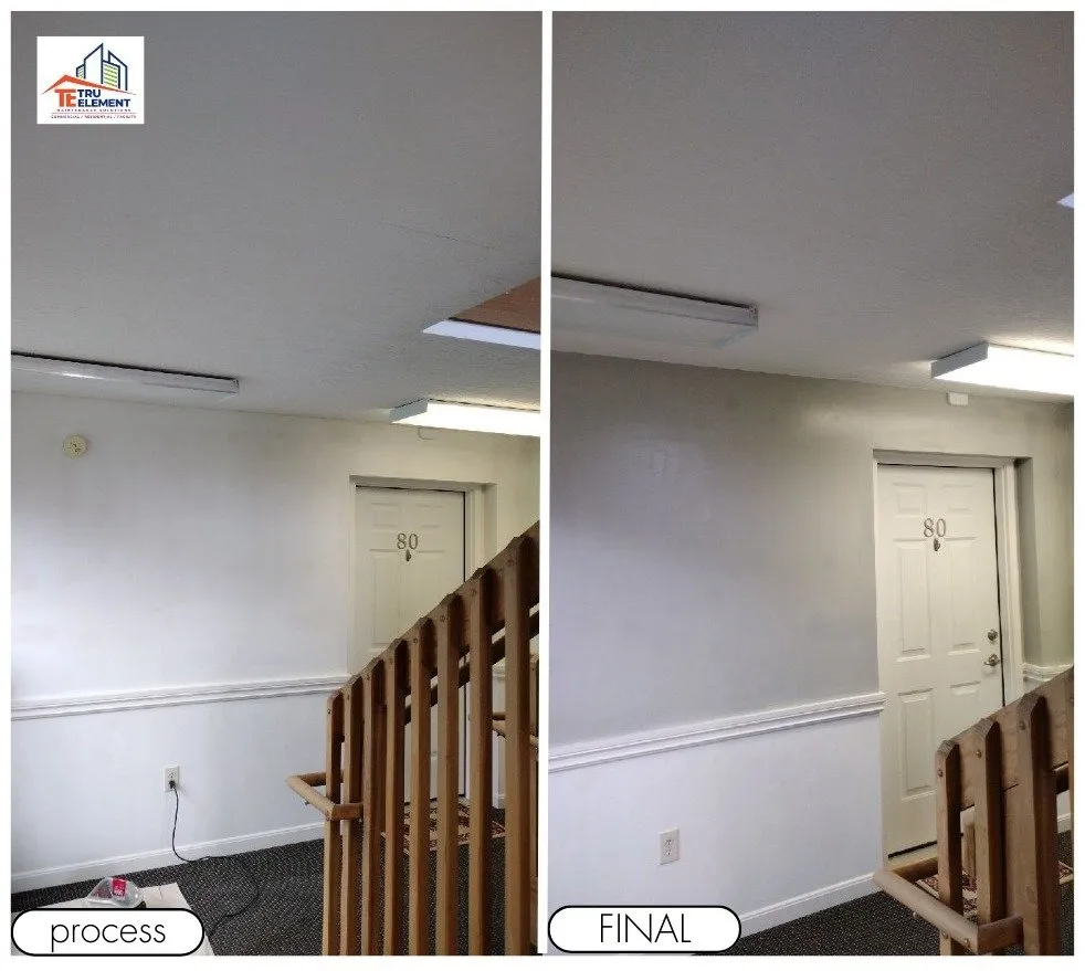 Trusted yard cleanup service in Florence, KY by Tru Element