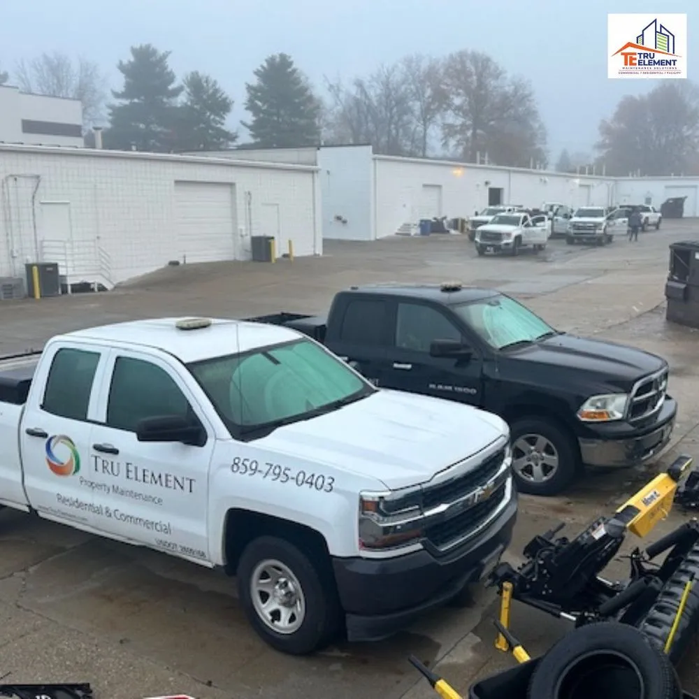 Professional landscape installation in Florence, KY - Tru Element