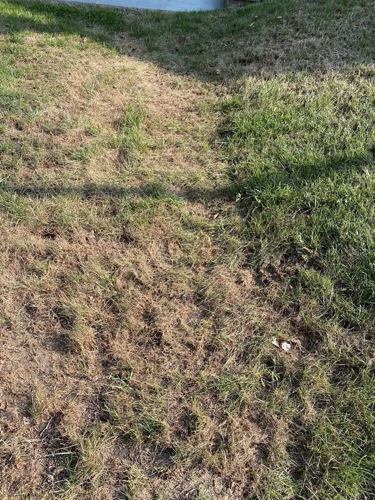 Custom landscape design for outdoor upgrades across Yaphank, NY - Tru Green