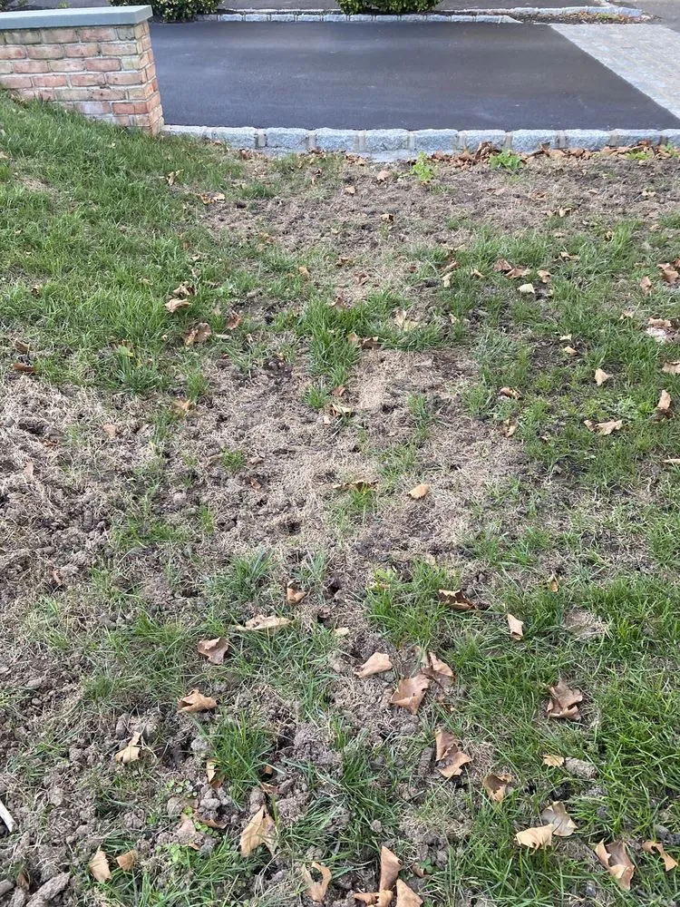 Expert residential landscaping for outdoor upgrades in Yaphank, NY by Tru Green