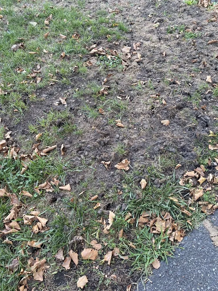 Expert residential landscaping with custom design across Yaphank, NY - Tru Green