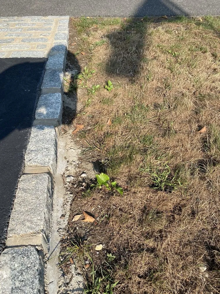 Affordable landscape design experts serving Yaphank, NY - Tru Green