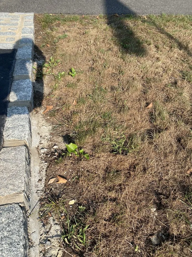 Custom garden landscaping in Yaphank, NY - Tru Green