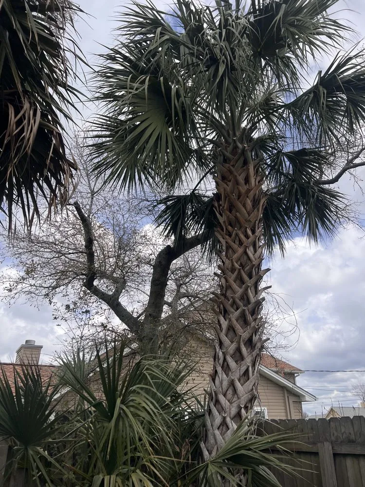 Expert garden landscaping experts serving Panama City, FL - Tru Horizon