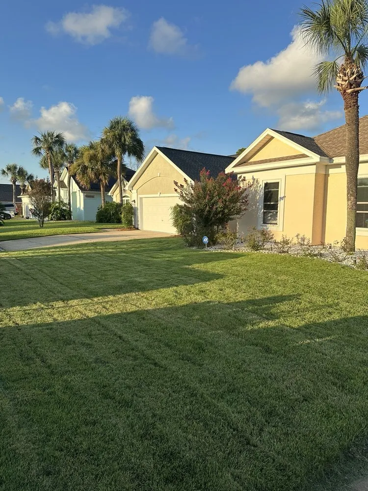 Affordable lawn care service in Panama City, FL - Tru Horizon