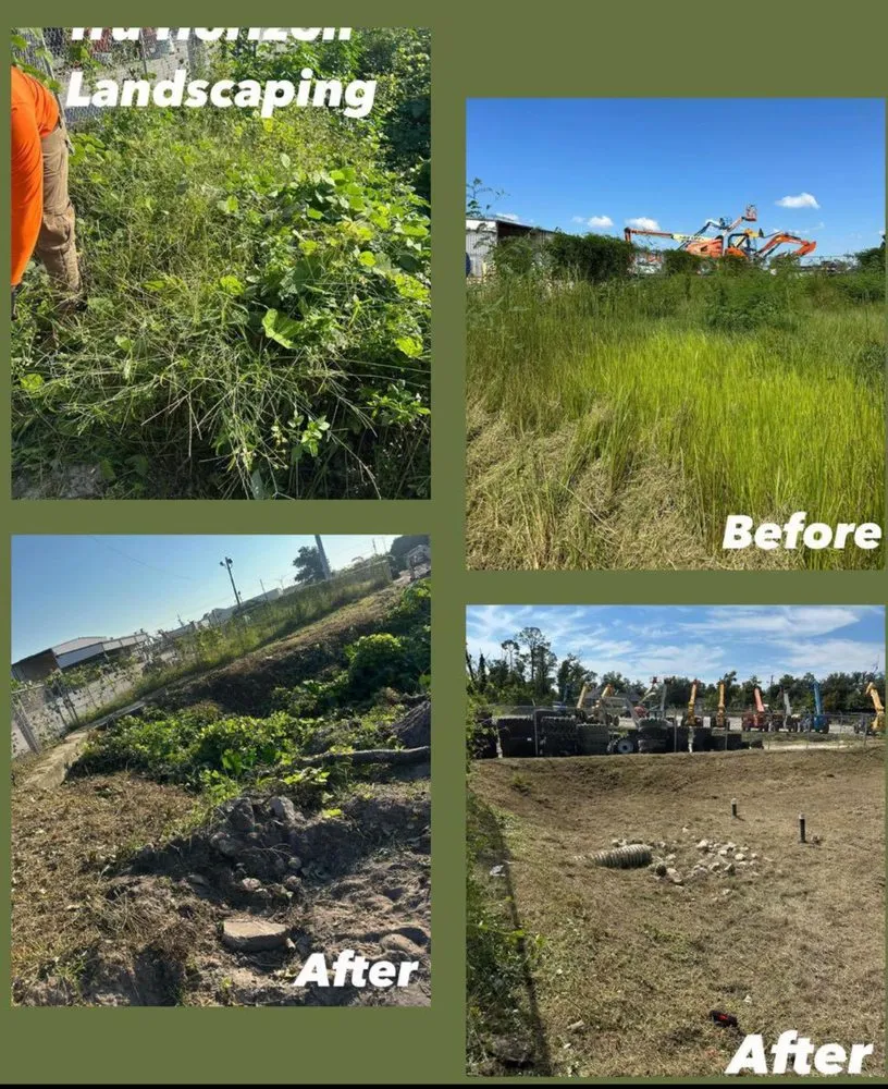 Affordable residential landscaping in Panama City, FL by Tru Horizon