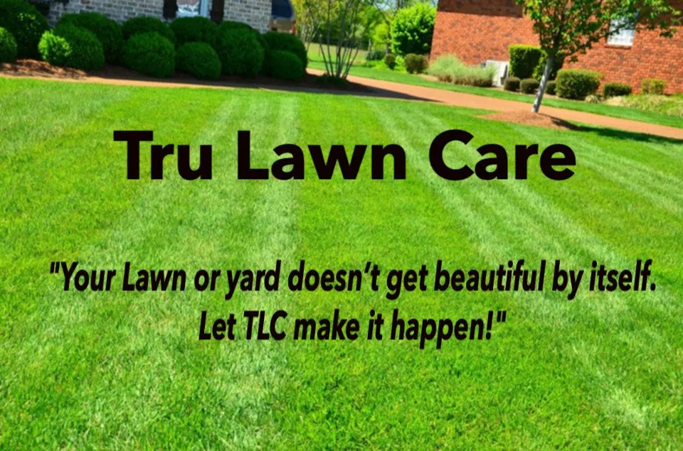 Professional yard cleanup service near you in Orlando, FL by Tru Lawn Care LLC