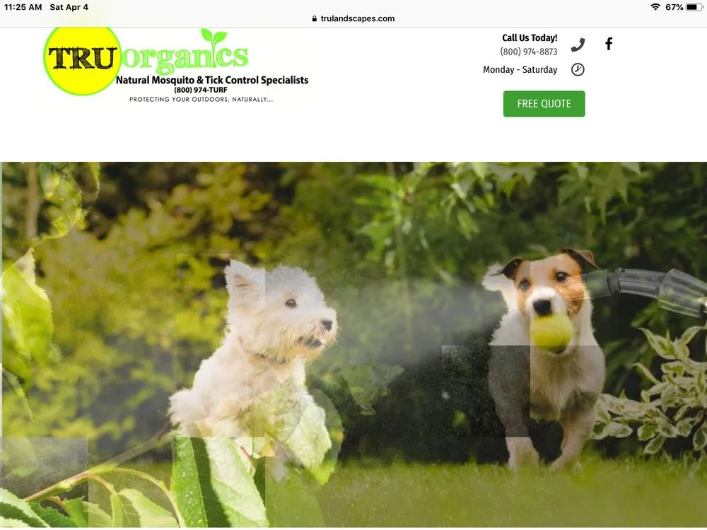 Top-rated yard maintenance for beautiful yards across Mohegan Lake, NY - Tru Organics Mosquito & Tick Control