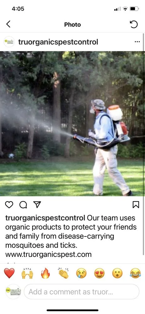 Local landscape design for outdoor upgrades in Mohegan Lake, NY by Tru Organics Mosquito & Tick Control