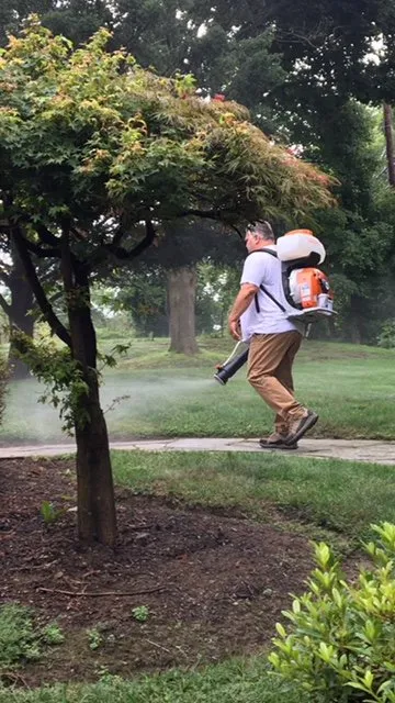 Professional yard cleanup service in Mohegan Lake, NY by Tru Organics Mosquito & Tick Control