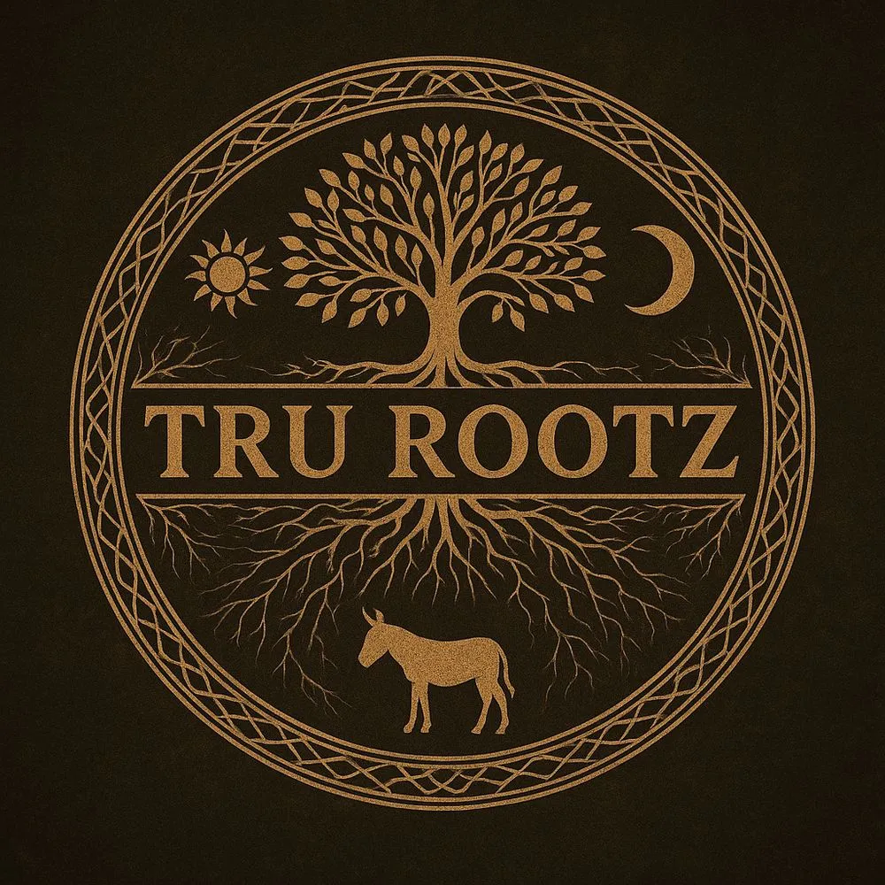 Top-rated landscape installation near you across Stillwater, NY - Tru Rootz