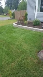 Reliable lawn care service for outdoor upgrades across Snohomish, WA - Tru Terras Landscaping