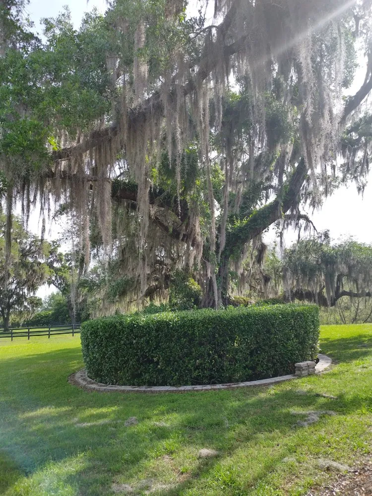 Affordable lawn care service for year-round maintenance across Dunnellon, FL - Tru Tree Service