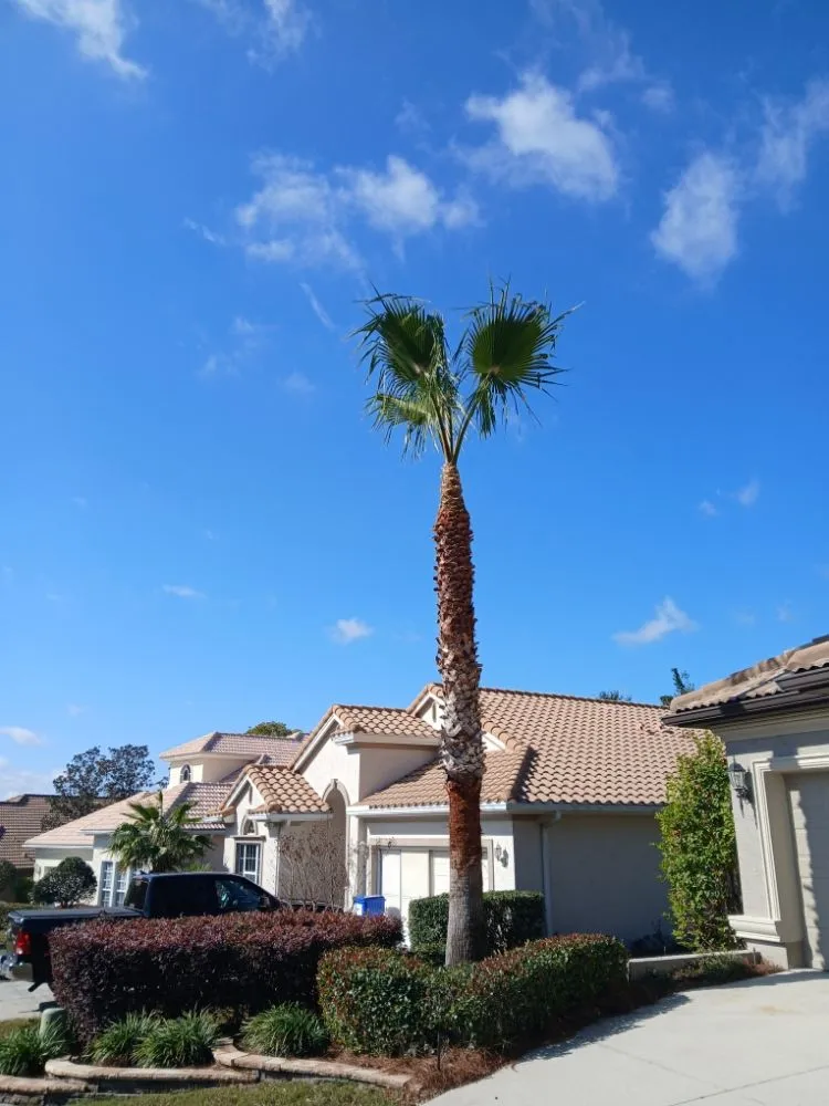 Custom garden landscaping for year-round maintenance across Dunnellon, FL - Tru Tree Service