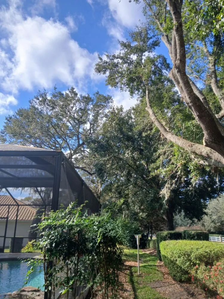 Top-rated landscaping services in Dunnellon, FL by Tru Tree Service