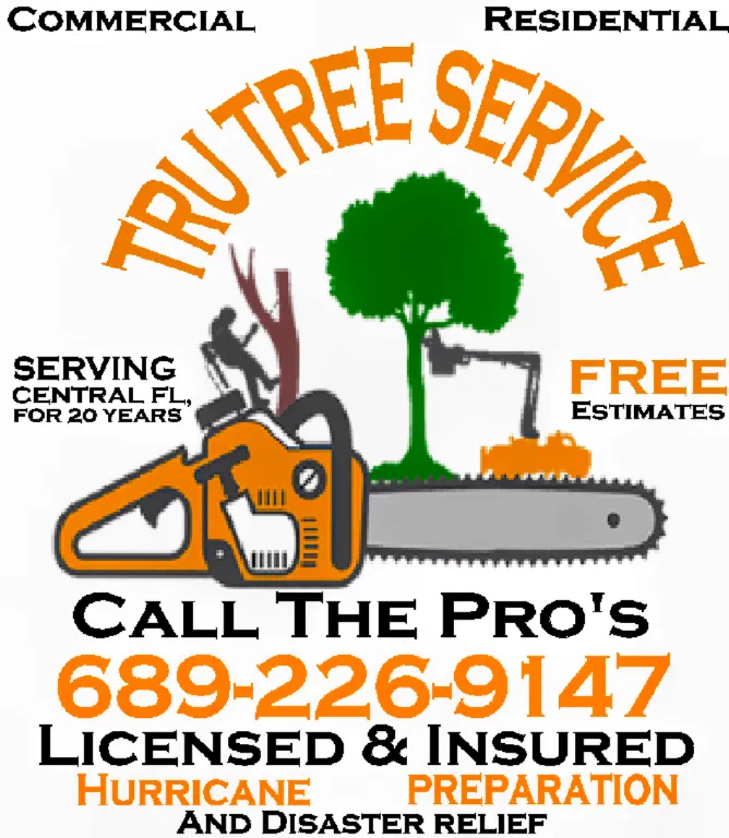 Professional garden landscaping experts serving Dunnellon, FL - Tru Tree Service