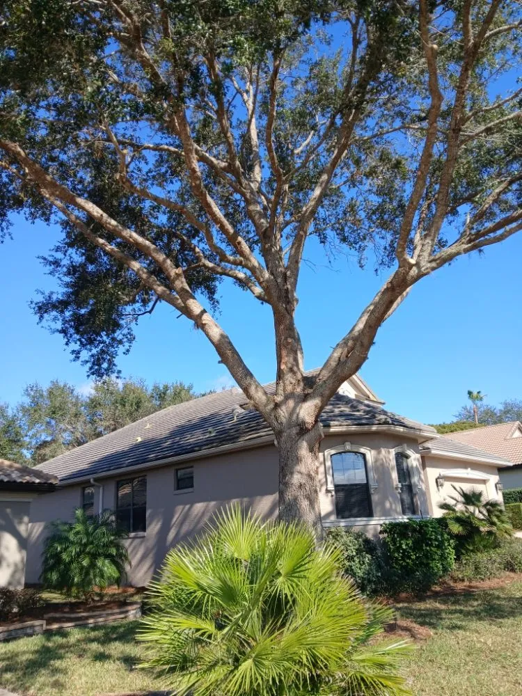 Affordable landscape design in Dunnellon, FL by Tru Tree Service