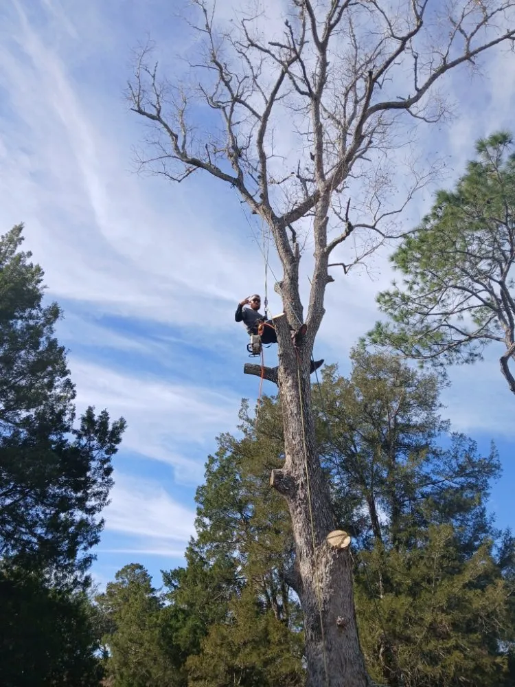 Reliable lawn mowing service in Dunnellon, FL by Tru Tree Service