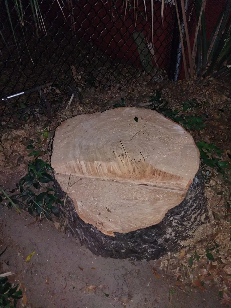 Reliable garden landscaping in Dunnellon, FL - Tru Tree Service