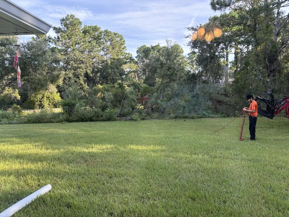 Professional landscaping services experts serving Dunnellon, FL - Tru Tree Service