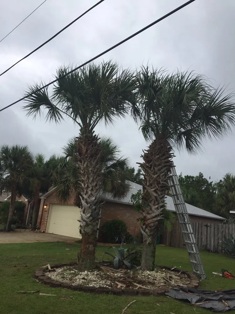 Local lawn care service for beautiful yards in Jay, FL by Tru-Trim Outdoor Services
