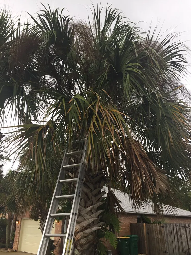 Affordable garden landscaping in Jay, FL by Tru-Trim Outdoor Services