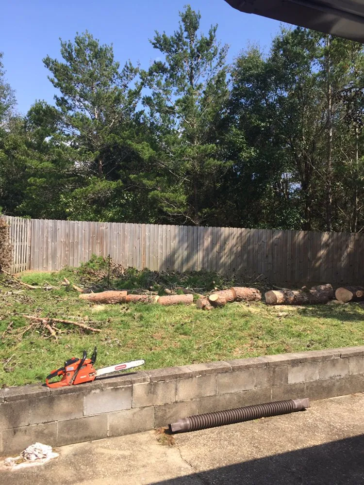 Top-rated yard cleanup service for outdoor upgrades across Jay, FL - Tru-Trim Outdoor Services