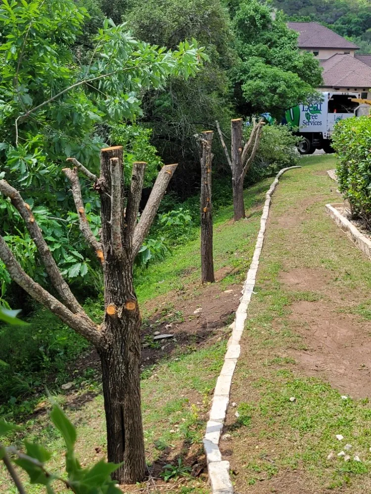 Local lawn mowing service experts serving Round Rock, TX - Tru Trim Tree Service