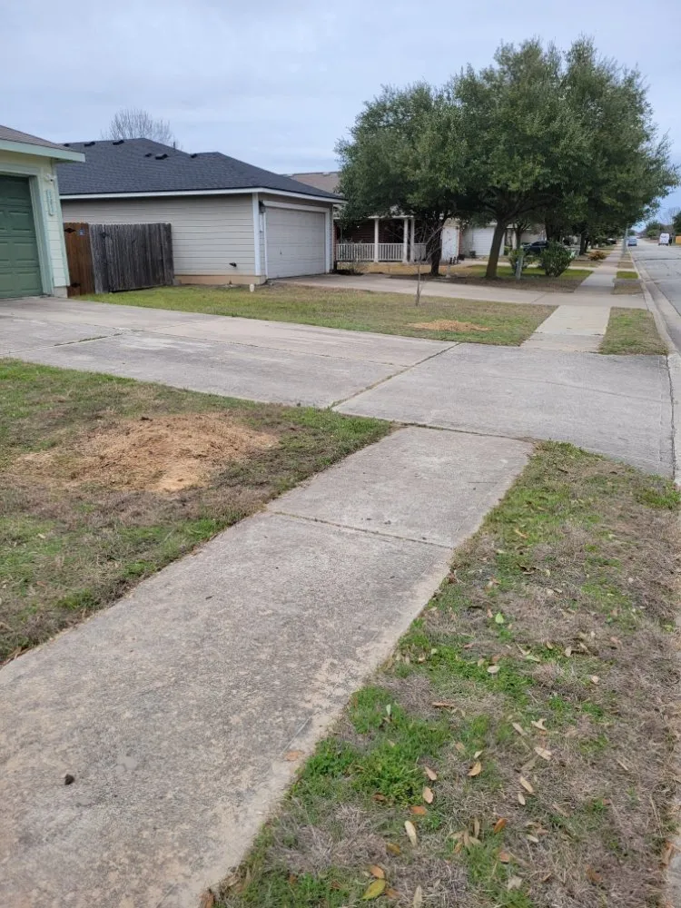 Expert landscaping services for residential properties in Round Rock, TX by Tru Trim Tree Service