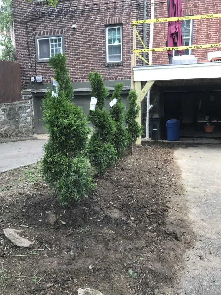 Top-rated yard cleanup service in Philadelphia, PA - Tru Trimming Landscaping
