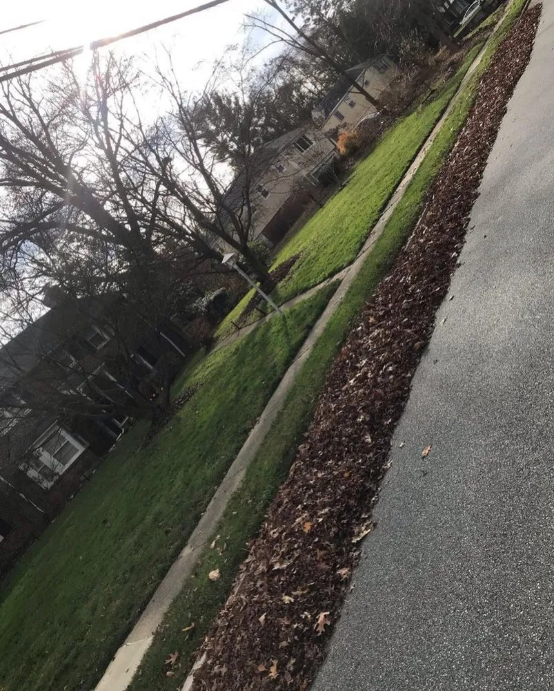 Expert yard cleanup service for year-round maintenance across Philadelphia, PA - Tru Trimming Landscaping