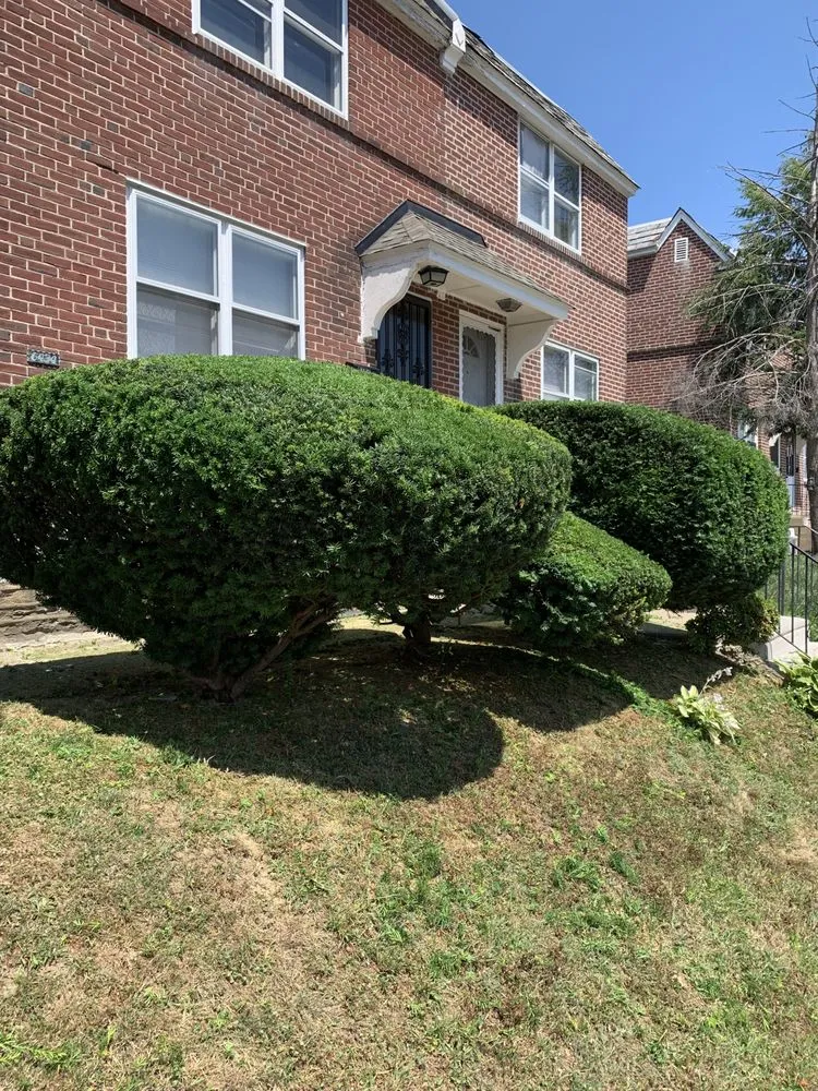 Expert yard cleanup service in Philadelphia, PA - Tru Trimming Landscaping