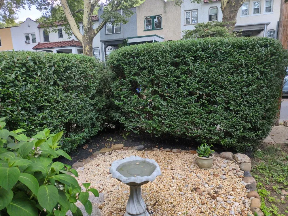 Top-rated outdoor landscaping in Philadelphia, PA by Tru Trimming Landscaping